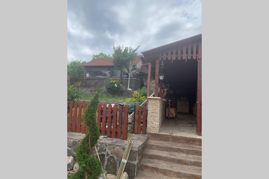 Dana Guest House Oradea Exterior foto
