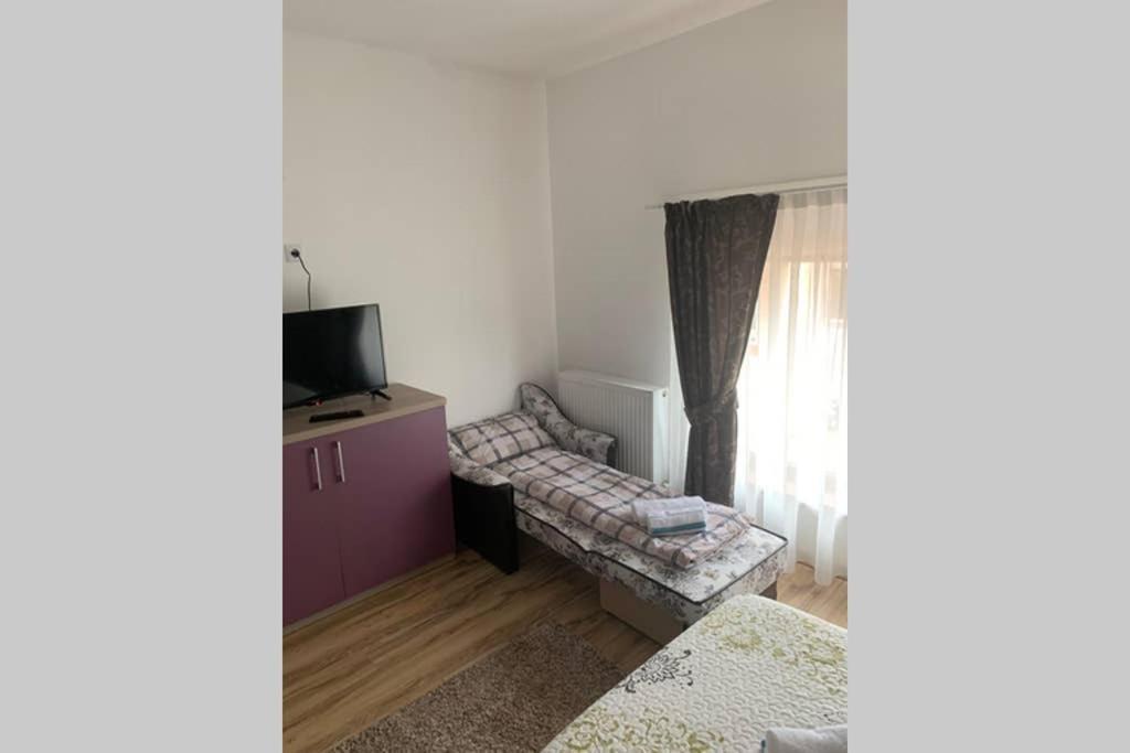 Dana Guest House Oradea Exterior foto